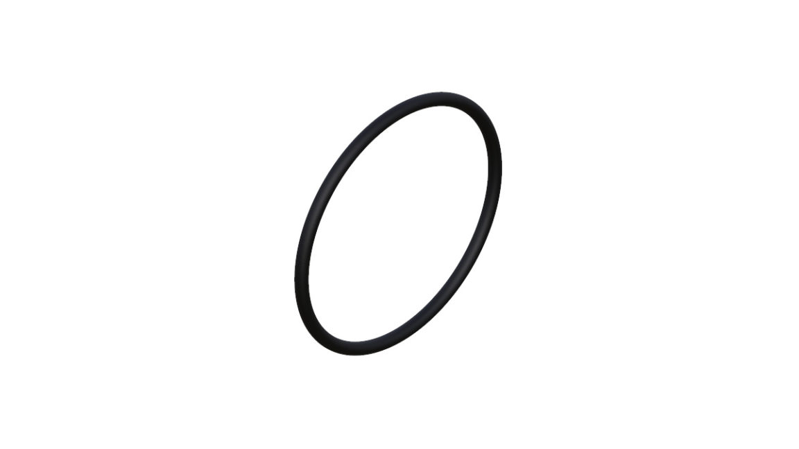 Onyx O-Ring, 18 mm x 1 mm 038382