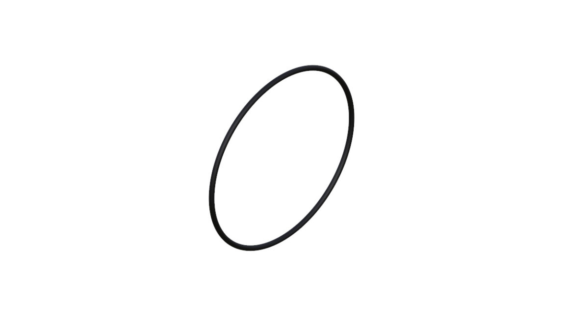 Onyx O-Ring, 28 mm x 1 mm 038383